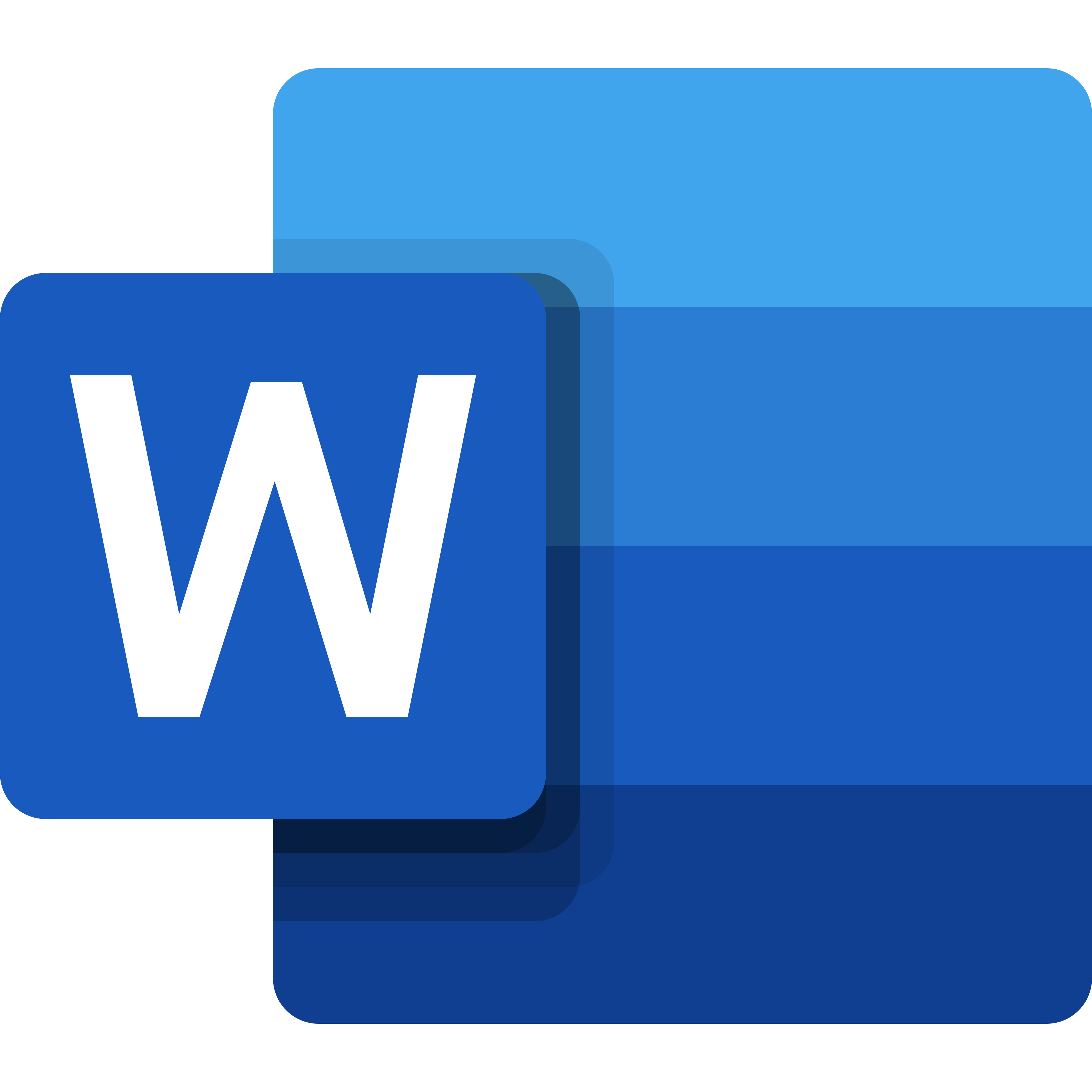 ms-word