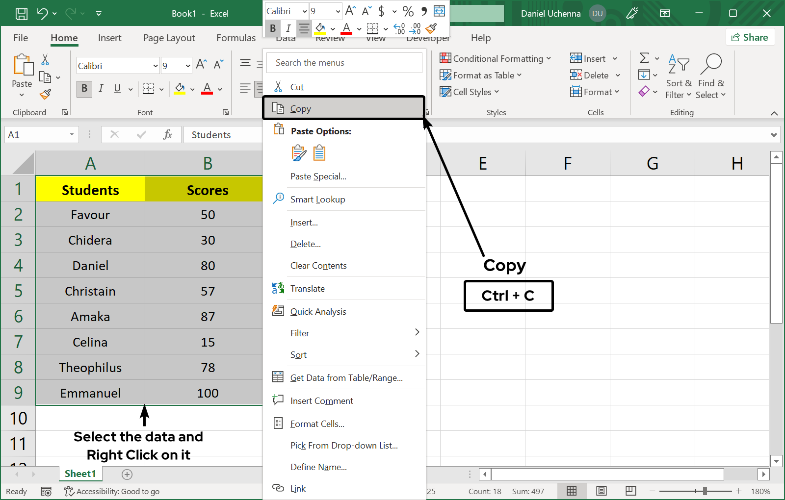 excel-to-ms-word-document