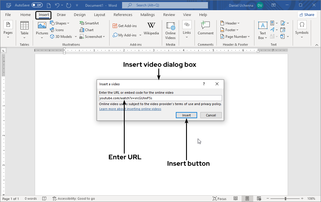 insert-online-video